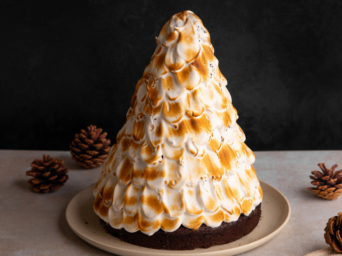 Christmas Tree Baked Alaska – Tala Cooking