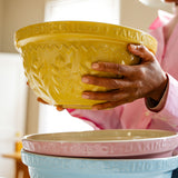 Tala Yellow Stoneware Mixing Bowl